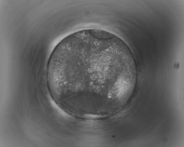 X0000112421527200909041400