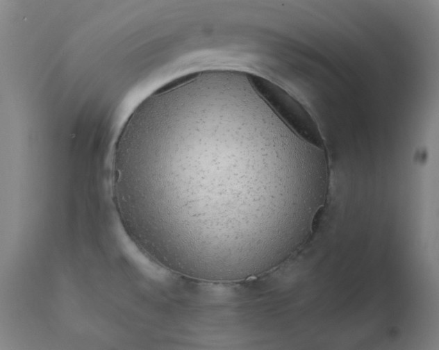 X0000112421528200909041400