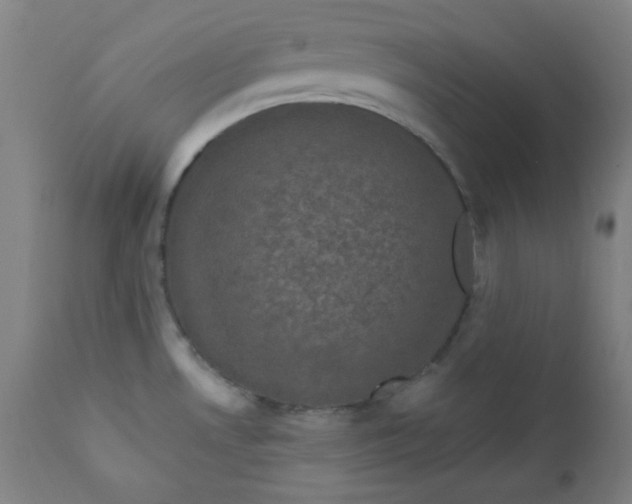 X0000112421530200909041400