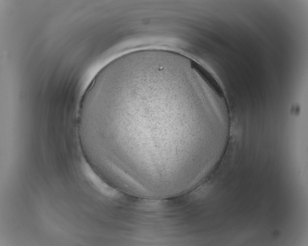 X0000112421532200909041400