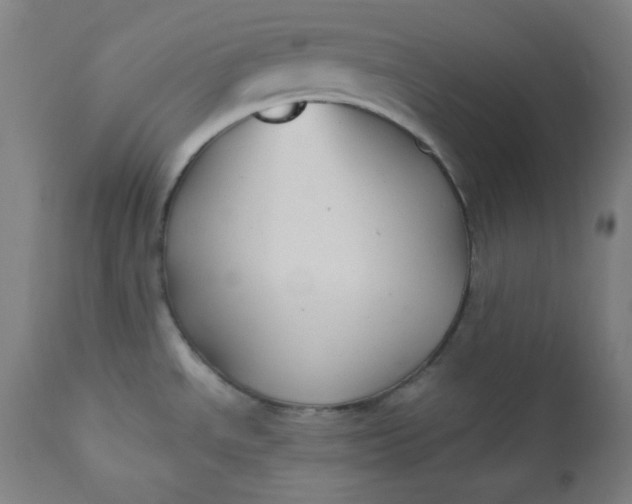 X0000112421534200909041401