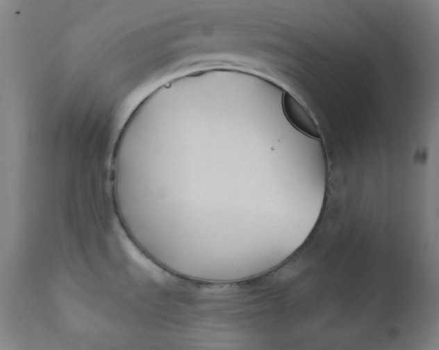 X0000112421535200909041401