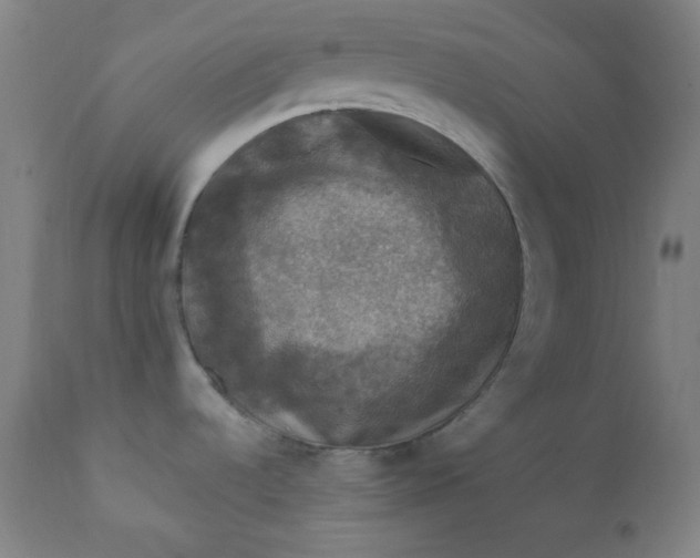 X0000112421536200909041401