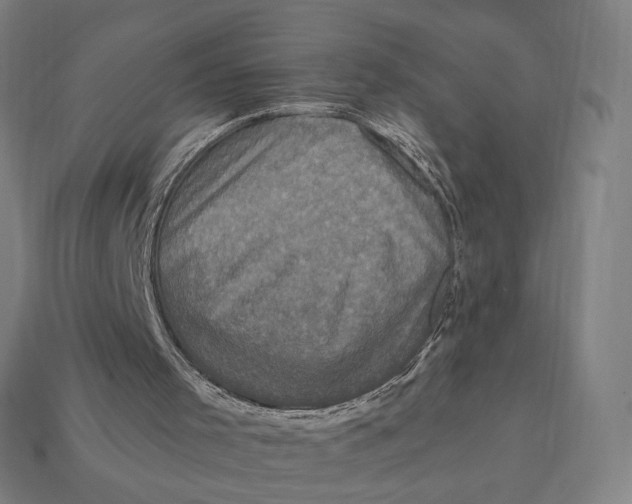 X0000112420001200909111019