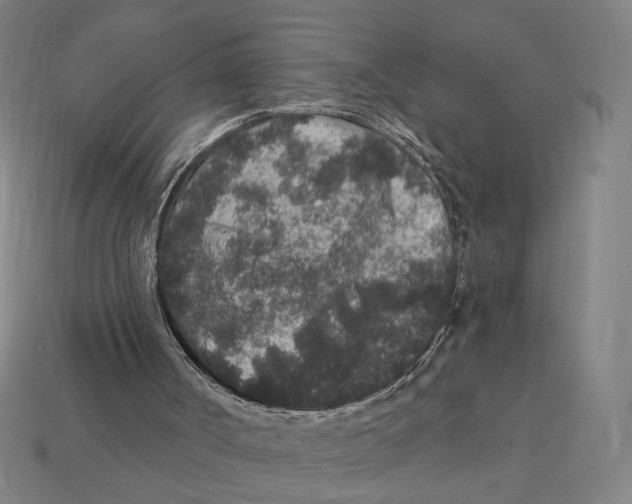 X0000112420002200909111019