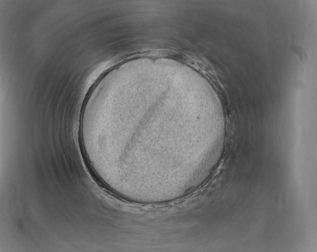 X0000112420003200909111019