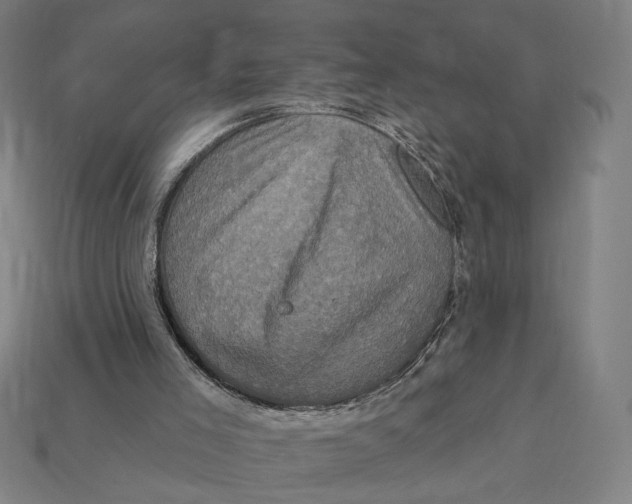 X0000112420005200909111019