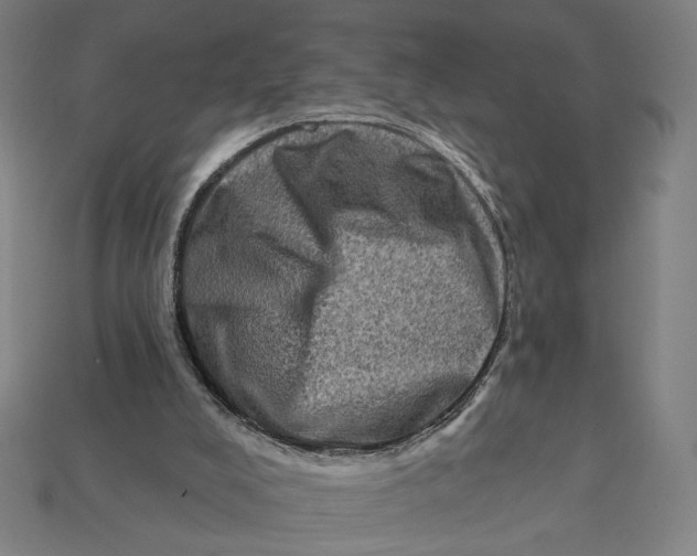 X0000112420008200909111019