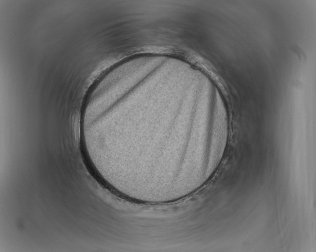 X0000112420011200909111019