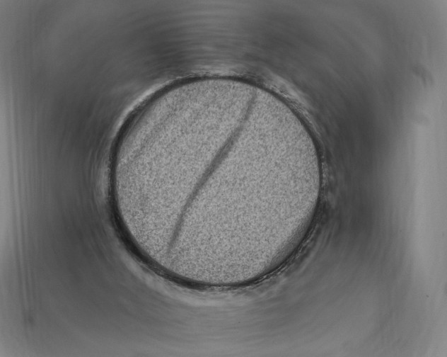 X0000112420012200909111019