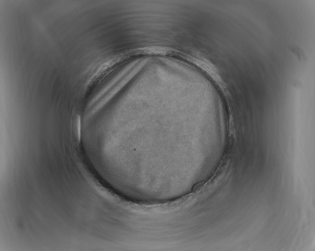 X0000112420013200909111019