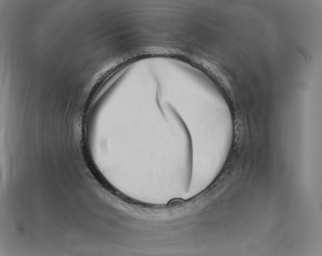 X0000112420015200909111019