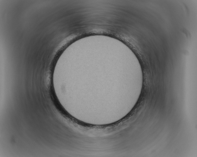 X0000112420016200909111019