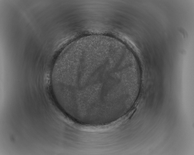 X0000112420017200909111019