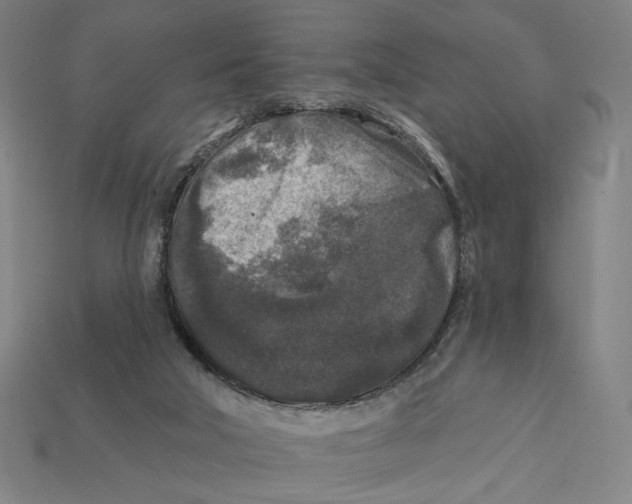 X0000112420018200909111019