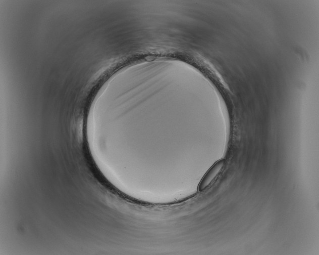 X0000112420019200909111019