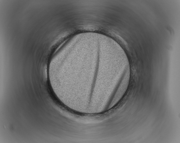 X0000112420020200909111019