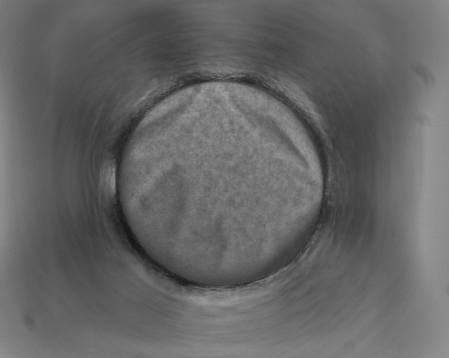 X0000112420021200909111019