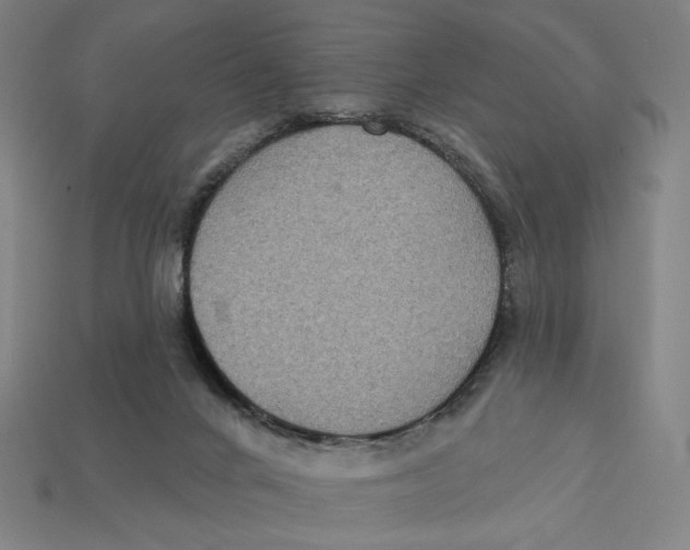 X0000112420024200909111019