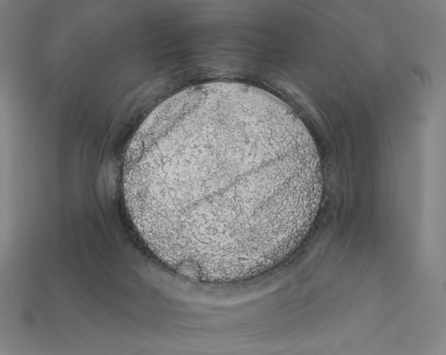 X0000112420026200909111019