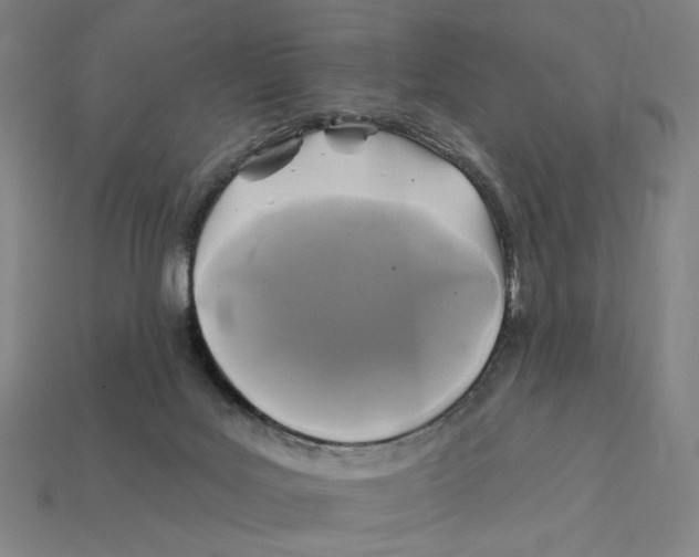 X0000112420027200909111019