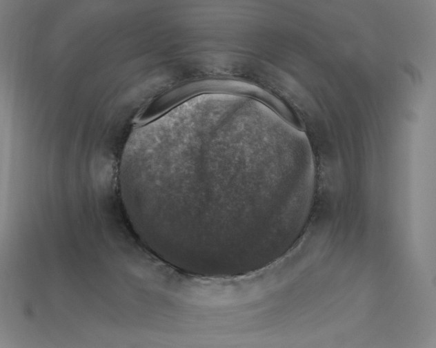 X0000112420029200909111019