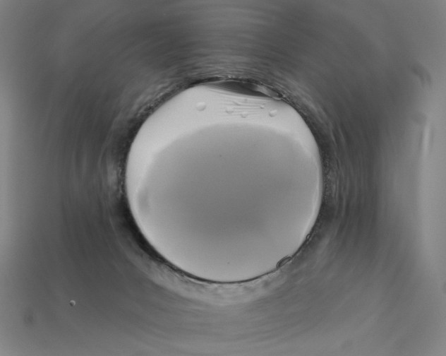 X0000112420031200909111019