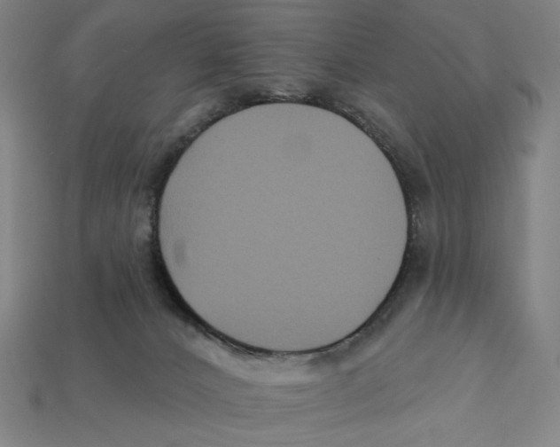 X0000112420032200909111019