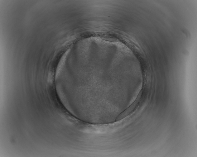 X0000112420033200909111019