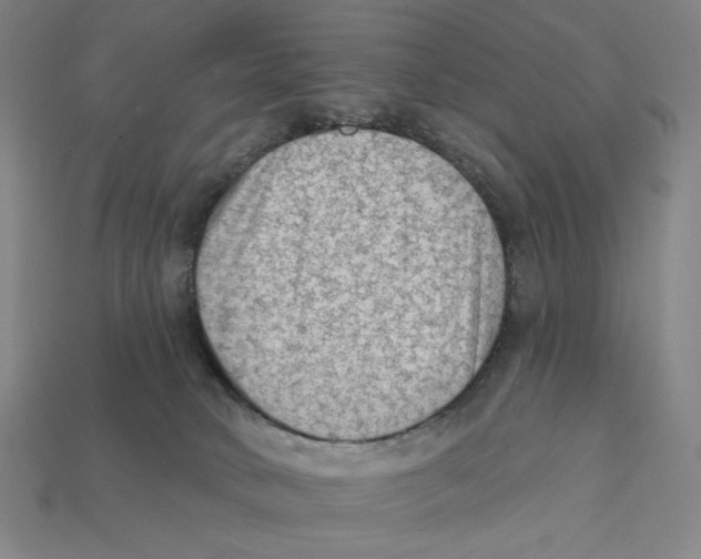 X0000112420034200909111019