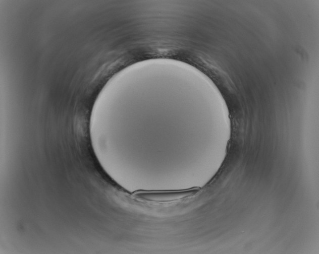 X0000112420035200909111019