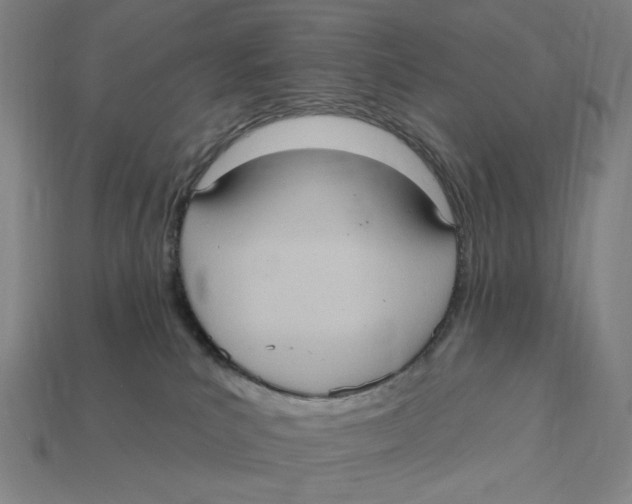 X0000112420039200909111019