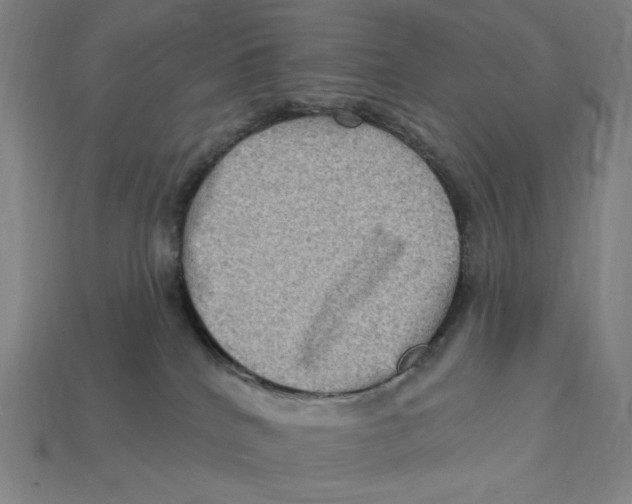 X0000112420040200909111019