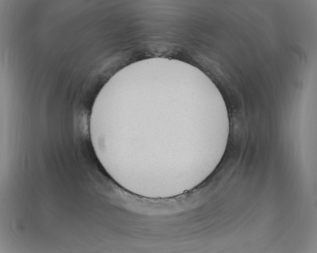 X0000112420042200909111019