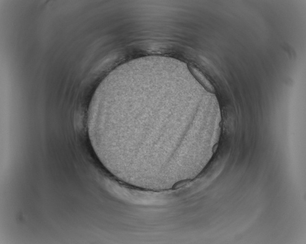 X0000112420044200909111019