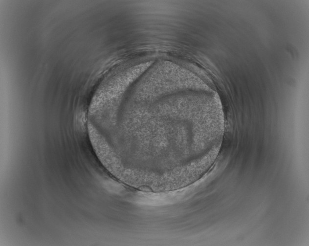 X0000112420045200909111019