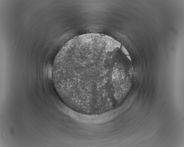 X0000112420046200909111019