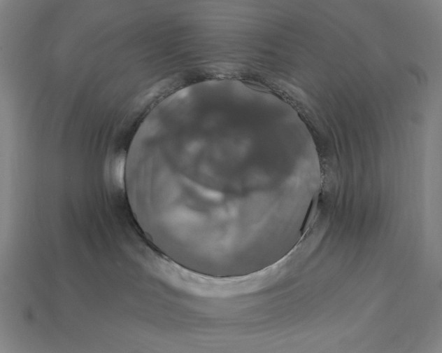 X0000112420047200909111019