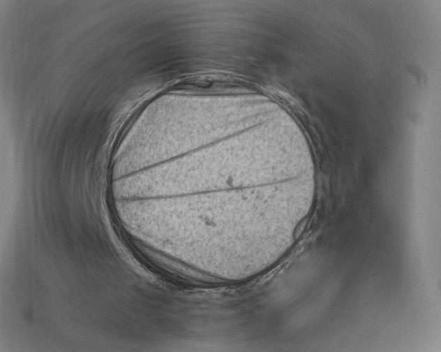 X0000112420049200909111018