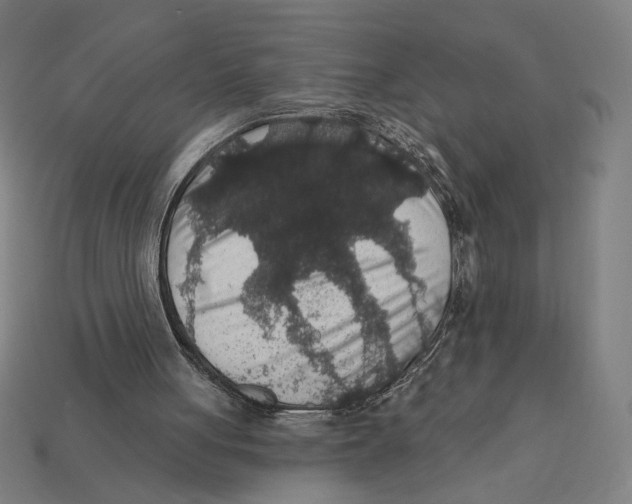 X0000112420051200909111018