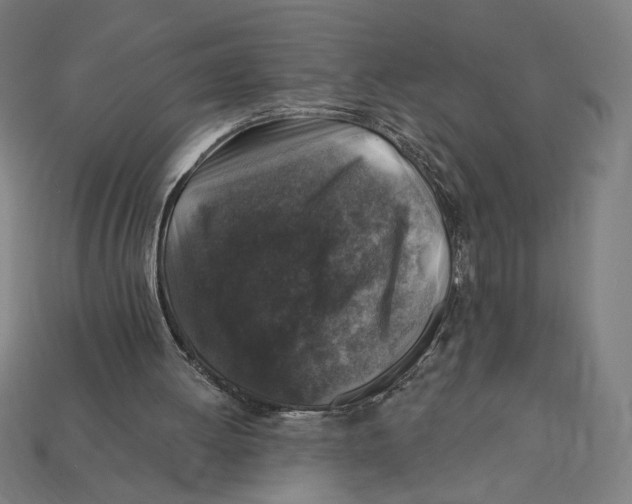 X0000112420052200909111018