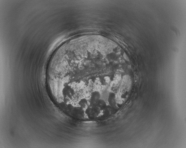 X0000112420053200909111018