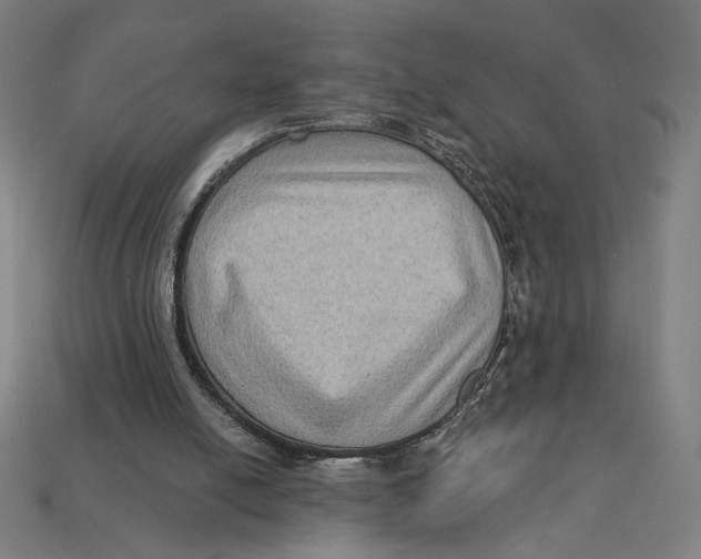 X0000112420054200909111018