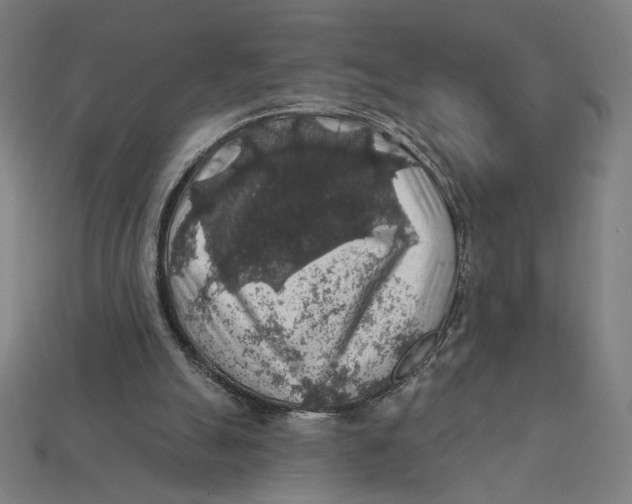 X0000112420055200909111018