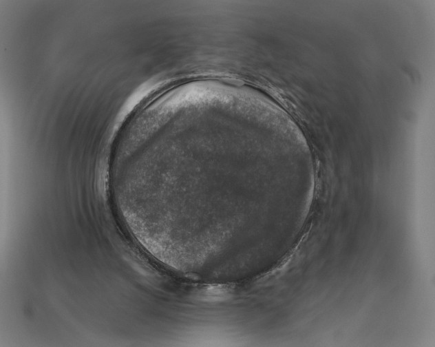 X0000112420056200909111018