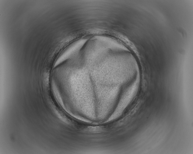 X0000112420057200909111018