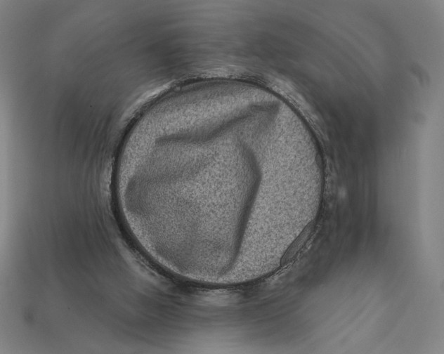 X0000112420058200909111018