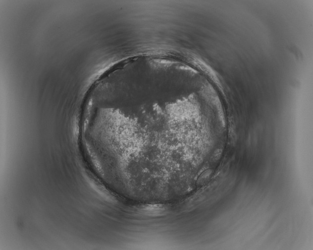 X0000112420059200909111018