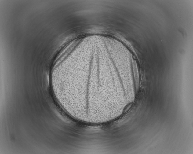 X0000112420061200909111018