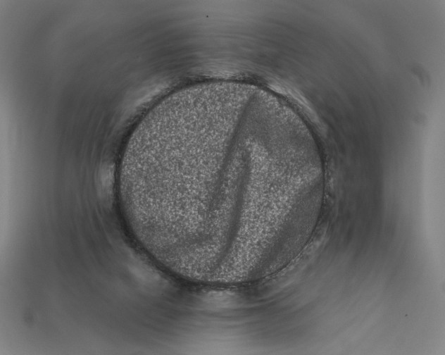 X0000112420066200909111018